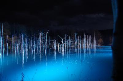 2018年11月　初冬の旭川へ（2日目-5）～青い池ライトアップ＆帰路