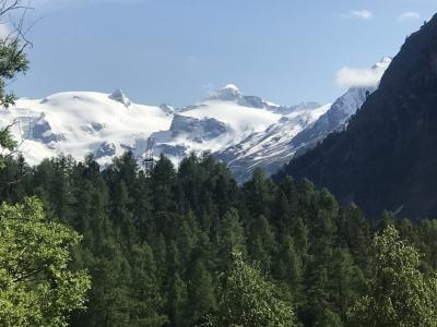 スイス花とハイキングの旅買い出しにテラーノ