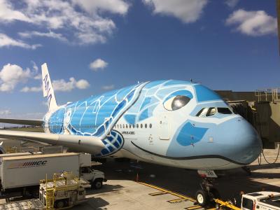 ANA A380 フライングホヌ ハワイ 8日間 スイートラウンジはステキです☆前編