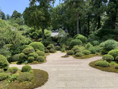 マイナスイオンたっぷりの龍潭寺