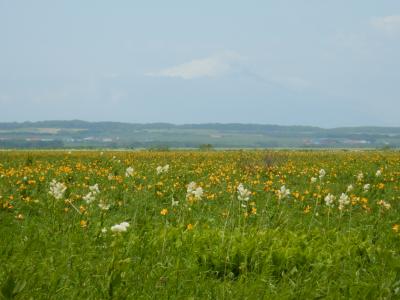 2019 6月の北海道　礼文島へ　【４】　稚内ドライブ