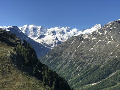 スイス花とハイキングの旅アルプラングアルト