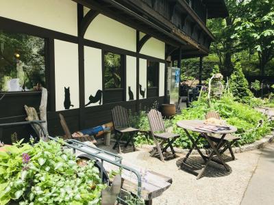 初夏の信州旅【2019.6】…まきば公園のミントちゃんって誰？萌木の村で落馬、、、《４日目》