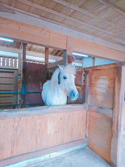 3泊4日 岡山の旅（レンタカーでこんぴらさんへ）