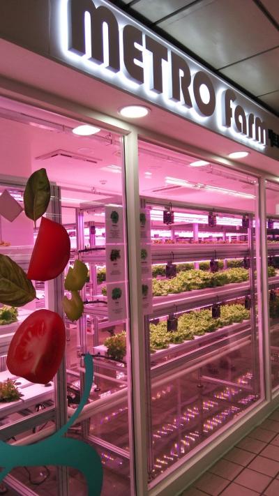 今年は行かないって書いたのに我慢出来なくて行っちゃった(笑)