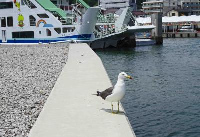 東北被災地定点観測の旅２０１９、その１（今年は脚を伸ばして大船渡まで）