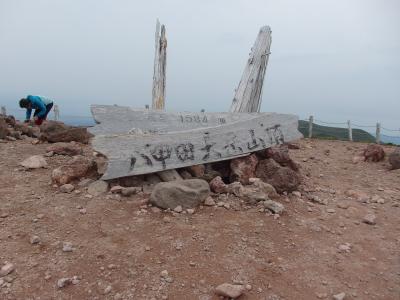 八甲田山登山　野花を求め