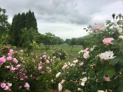 一汗かいた後、岩見沢バラ園と夕張メロン。ハナシにならなかった昼食。南清水沢駅も見てきた。