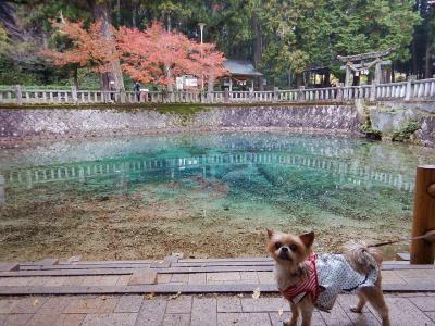 家族旅行 in山口県・広島県 ～山口県編～