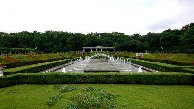 東京都神代植物公園へ行きました。