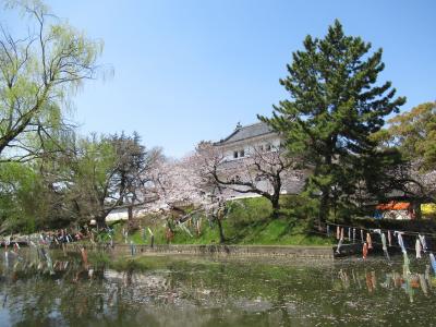 青春18きっぷと休日おでかけパスで行く土浦城＆佐倉城お花見日帰りの旅(前半)