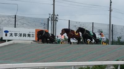 1泊2日帯広旅行【ばんえい競馬の写真多めです】