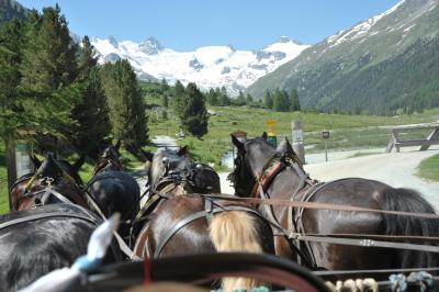 スイス花とハイキングの旅ロゼック谷馬車の旅２
