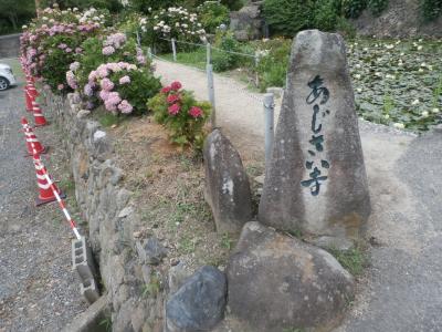 神宮寺(あじさい寺)参拝(#^^#)in広島県 府中市