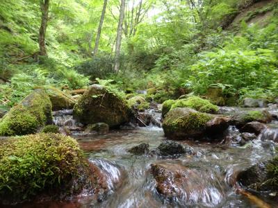 【鳥取】大山・蒜山ドライブ