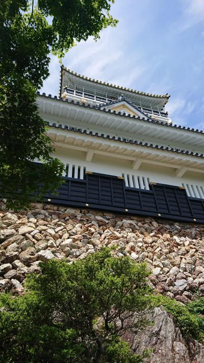 【日本100名城】岐阜城へ。昆虫博物館も素敵だったよ。