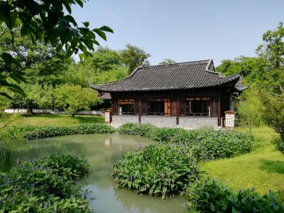 揚州徘徊♪痩西湖風景区♪錦泉花島♪緑竹軒♪露香亭♪唐?城西門遺址♪鶴はニセモノ??2019年６月 中国 揚州・鎮江 ７泊８日(個人旅行)３１