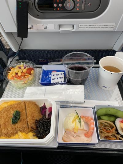 スコットランドとHoly Island(Northumberland州)7日間の1日目。