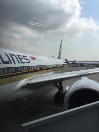 シンガポール航空 プレミアムエコノミー初体験記