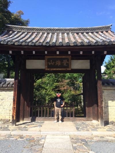 そうだ！京都へ行こう。千年の都に新しい発見を求めて&#128149;