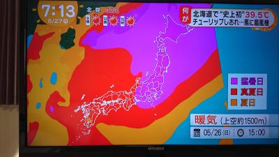 暑っーい！！ここは北海道じゃなかったっけ？３