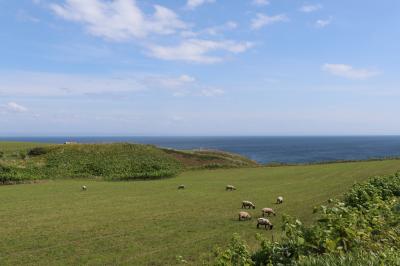 焼尻島　日帰りレンタサイクルの旅