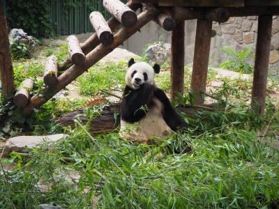 你好!北京で遊んできたよ 3