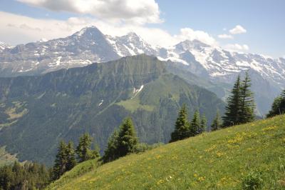 スイス花とハイキングの旅4回目のシーニゲプラッテ