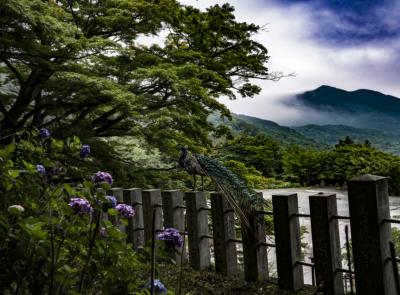 曇り空の下の水中華