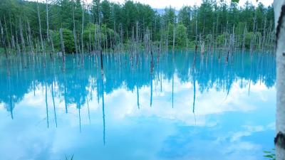 日帰り北海道旅行～絶景とグルメを求めて大移動～