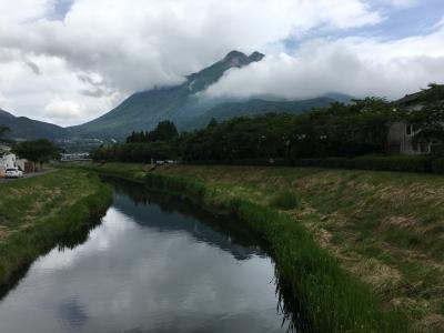 一人旅で大分へ。　由布院編