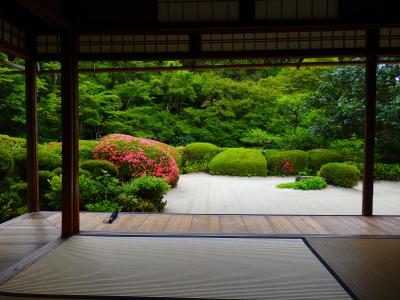 新緑に悠々と紅映える寺の庭