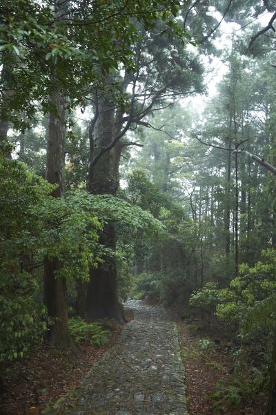 熊野三山参拝の旅