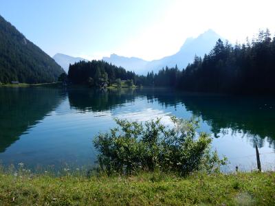 スイス・ハイキングの旅　2019夏(速報版-1)（概要：アンデルマット)