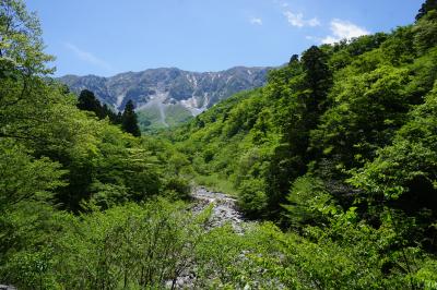 ちょこっと大山～米子から至近の最大の観光地、伝統的にはやっぱり大山かな。大山寺から豪円山、桝水高原。初夏の定番中の定番を久しぶりに訪ねます～