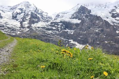 スイス　花と絶景の旅　②グリンデルワルトWengernalp～Wengen