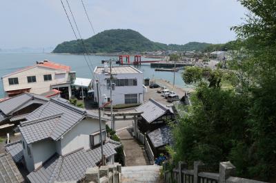 松山から一番近いみかんの島　興居島