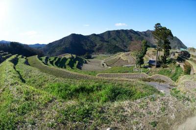 いきなり香川県の旅