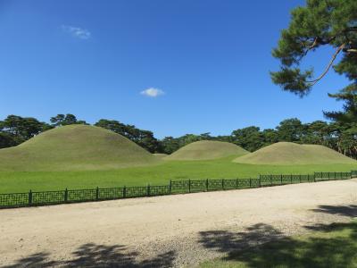 愉快な仲間たちと釜山で合流♪(２)【慶州】