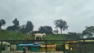 南房総の旅②　麻綿原高原～八天堂～ドイツ村