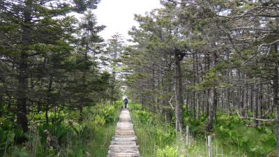落石岬灯台 森と湿原をまっすぐ木道で抜けて岬へ