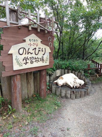 子連れ八泊九日夏休み④もくもくファームと水口カフェでオーダーケーキバイキング