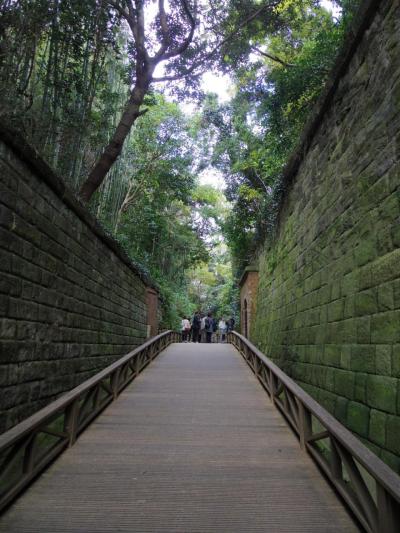 はとバスツアーで行く!軍港横須賀と無人島「猿島」