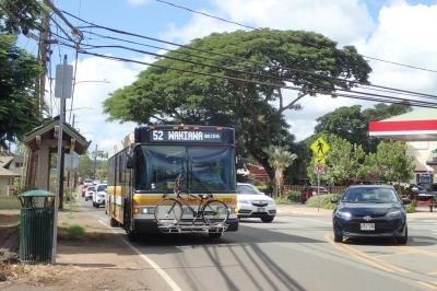 ウミガメのANAでハワイに行きオアフ島を路線バスで観光してみた