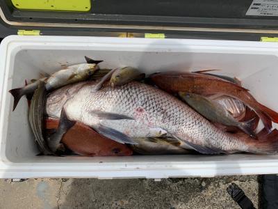 ２０１９－７月