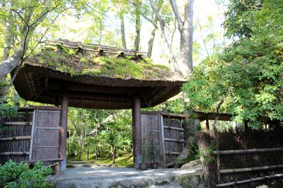 のんびり京都旅行（その1 嵐山・桂編）