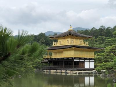 フランス人と巡る関西  京都