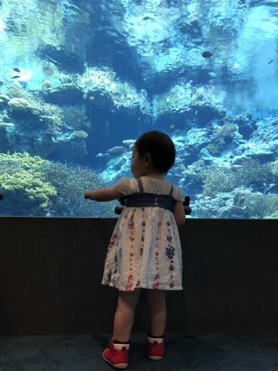 笑っちゃうくらいずっと雨！1歳8ヶ月の娘と！夏休み沖縄旅行！！