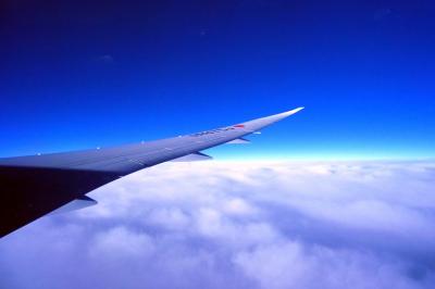 ４７．長男と行くハワイ3泊　ダニエル・K・イノウエ国際空港～成田国際空港までのJALの翼の空の旅その１