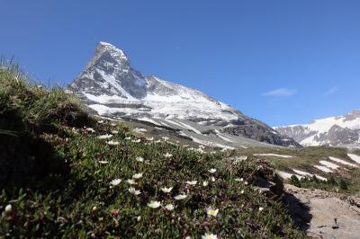 スイス　花と絶景の旅　⑦シュヴァルツゼーからフーリまでハイキング